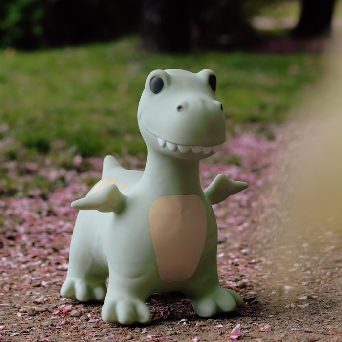 Bouncy Dragon