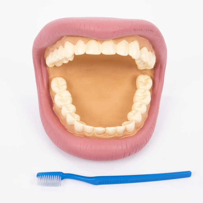 Learn to Brush Your Teeth Hand Puppet
