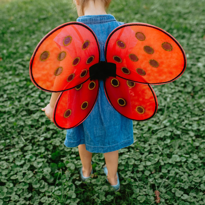 Ladybug Costume - Wings & Headband, Size 3-7 yrs