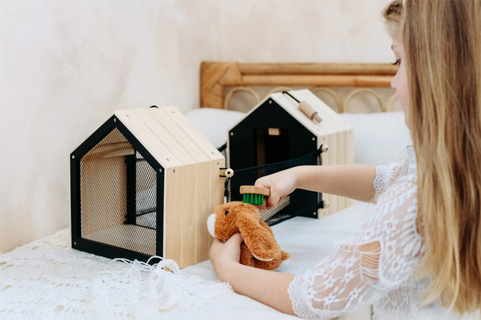 Rabbit Hutch and Run