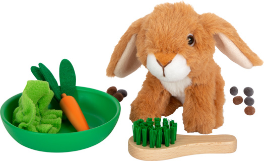 Rabbit Hutch and Run