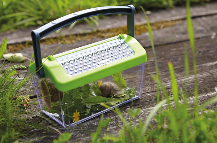 Plastic Bug Box with Handle