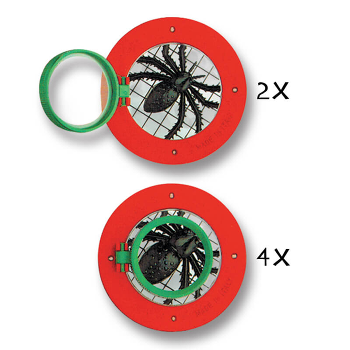 Bug Viewer with Dual Magnification