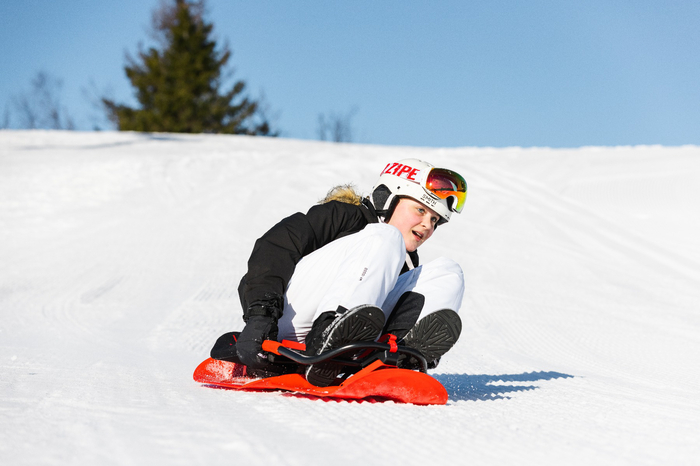 Sled - Snowbob