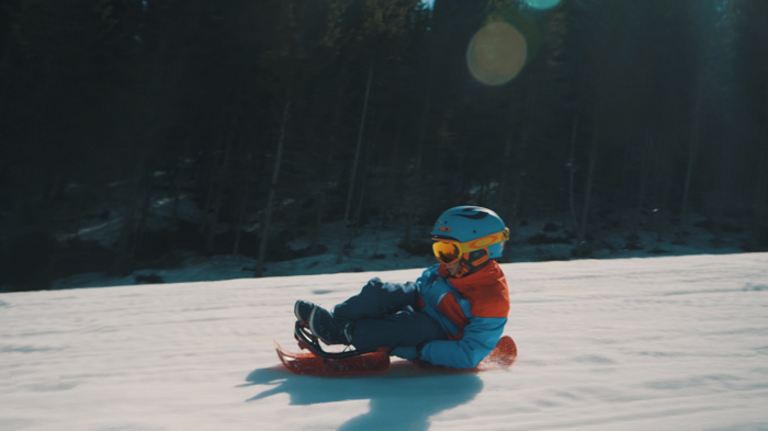 Sled - Snowbob