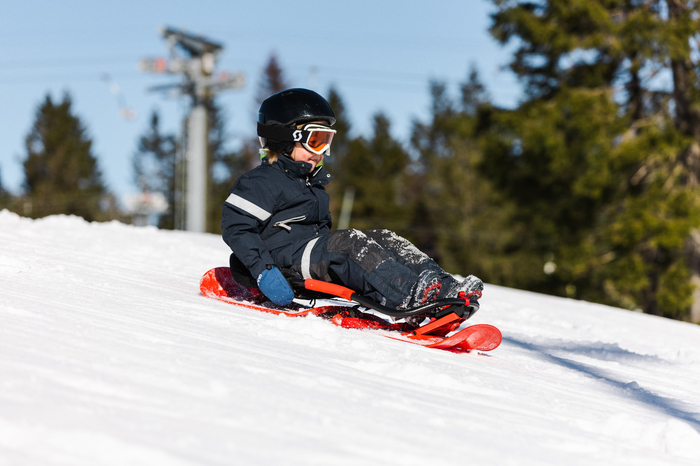 Sled - Snowbob