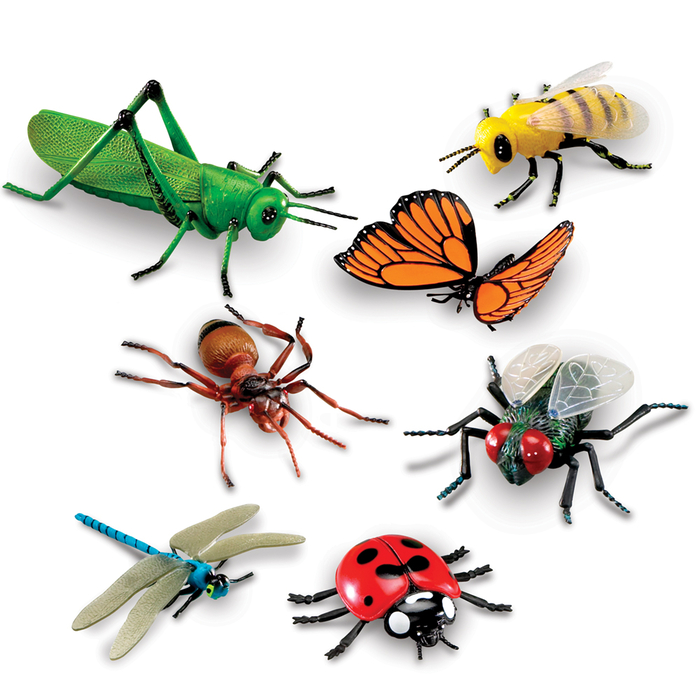 Jumbo Insects, 7 pcs