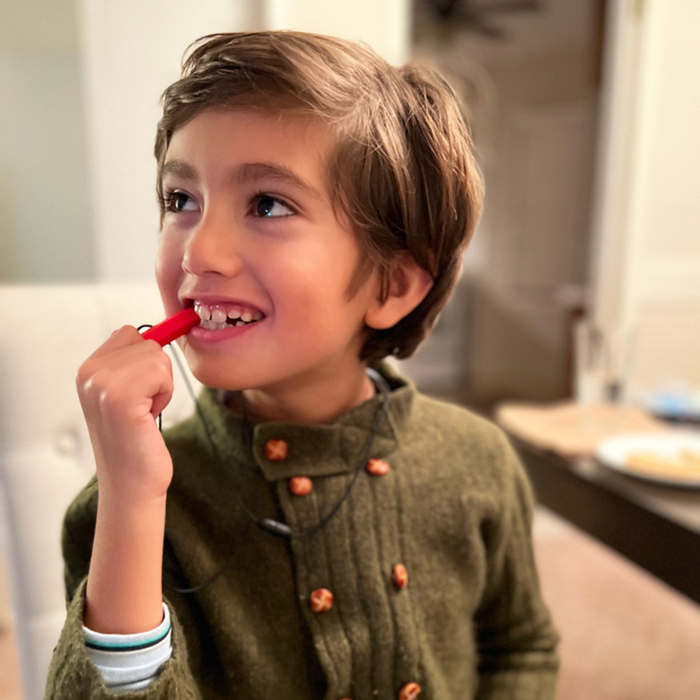 Chew Necklace, Krypto-Bite - Standard