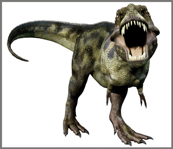 Torch Projector with Slides - Dinosaurs