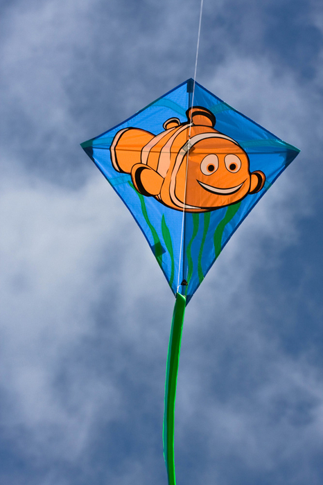 Kite - Classic Shape with Pictures, 68 cm