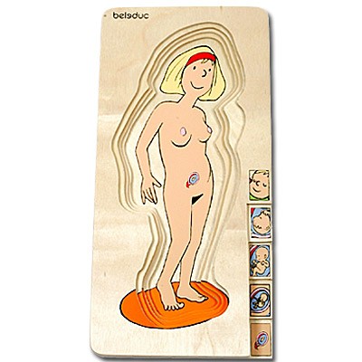 Anatomy Puzzle - Pregnancy
