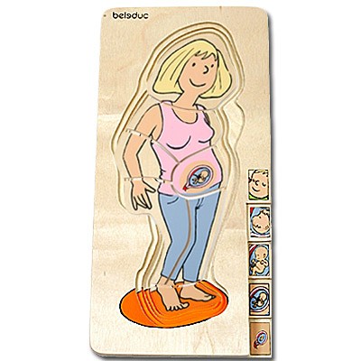 Anatomy Puzzle - Pregnancy