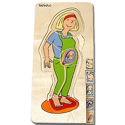 Anatomy Puzzle - Pregnancy