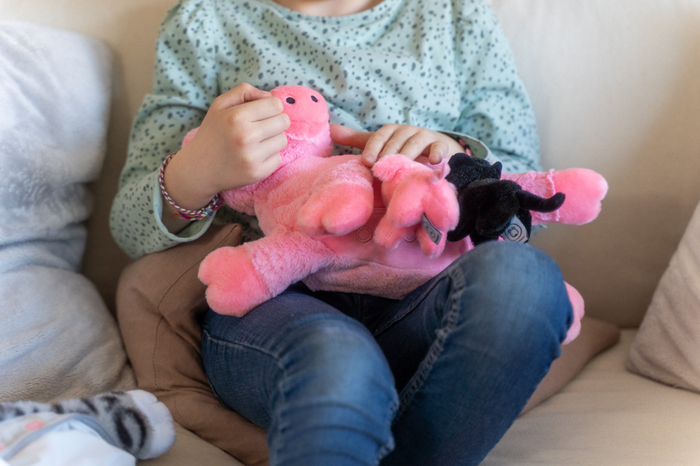 Stuffed Animals Family - Pig with Piglets