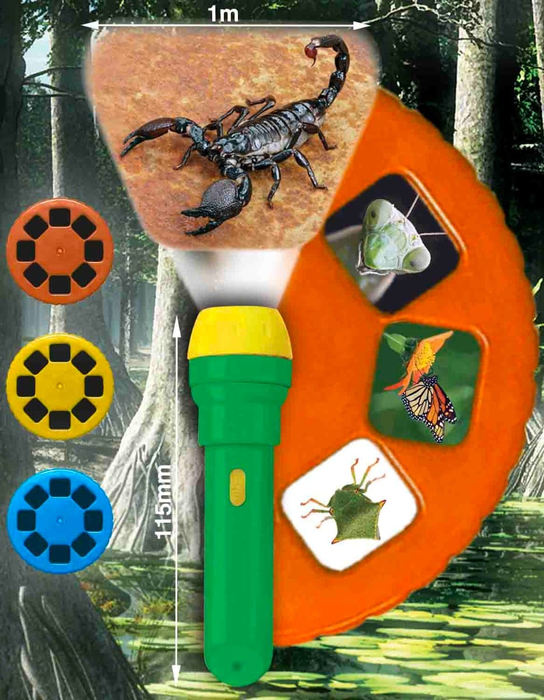 Torch Projector with Slides - Creepy Crawlies
