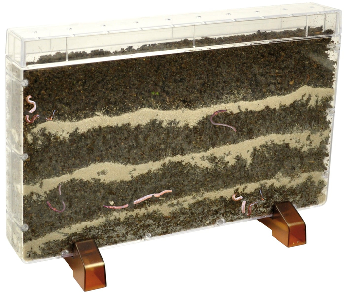 See-Through Worm Farm/Planter