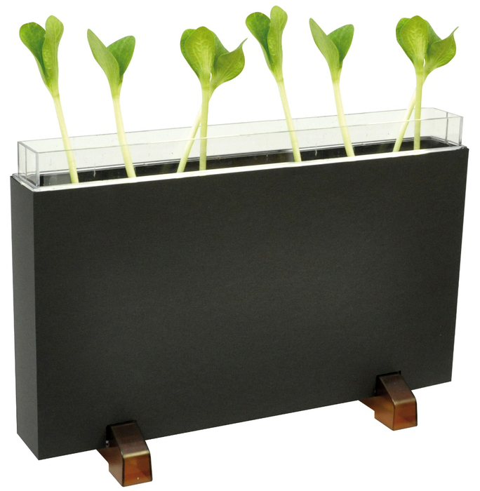See-Through Worm Farm/Planter
