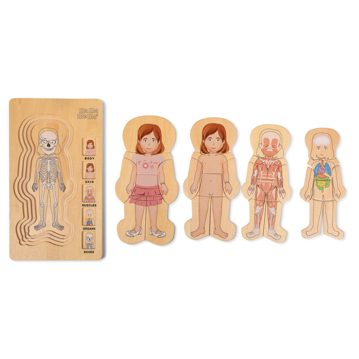 Anatomy Puzzle - Girl