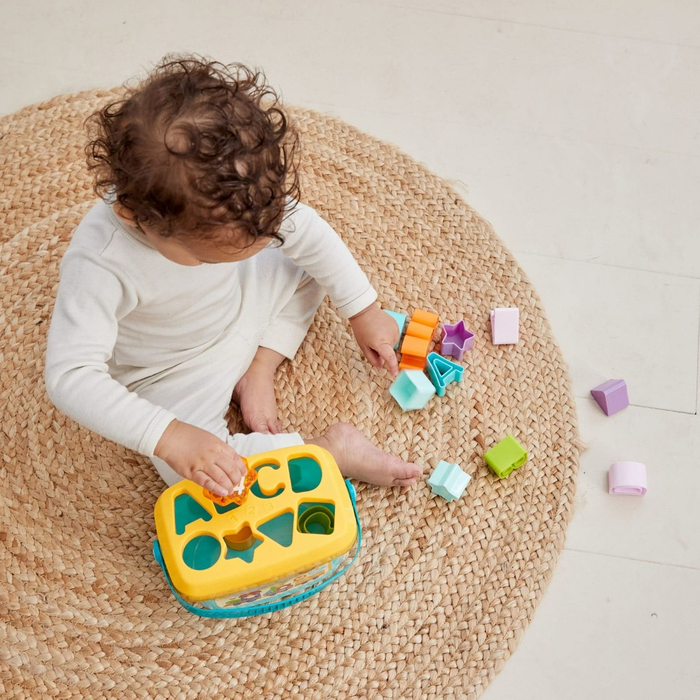 Shape Sorter with 16 Blocks