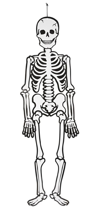 Glow-in-the-Dark Paper Skeleton, 120 cm