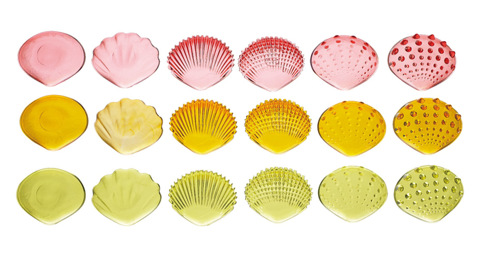 Translucent Tactile Shells, 108 pcs