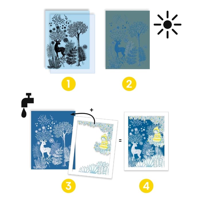 Cyanotype Kit - In the Moonlight