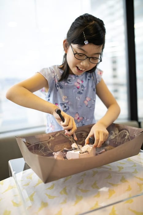 STEAM Activity Set - Dinosaur World