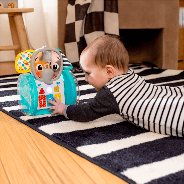 Baby Einstein - Chase & Tap Earl Interactive Toy