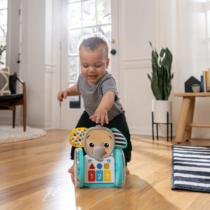 Baby Einstein - Chase & Tap Earl Interactive Toy