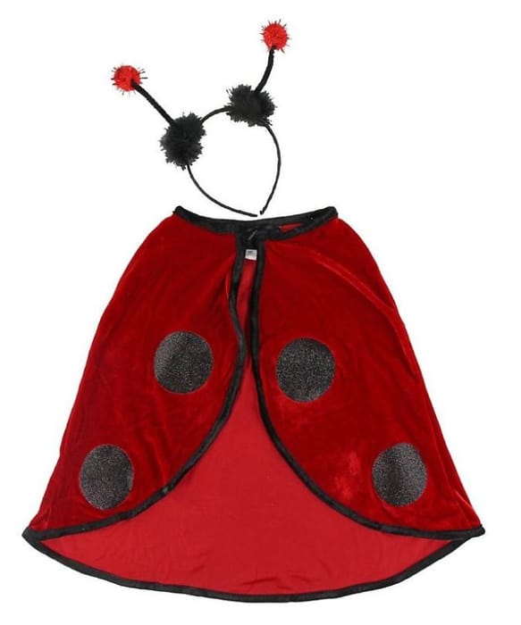 Ladybug Costume, 18-36 months
