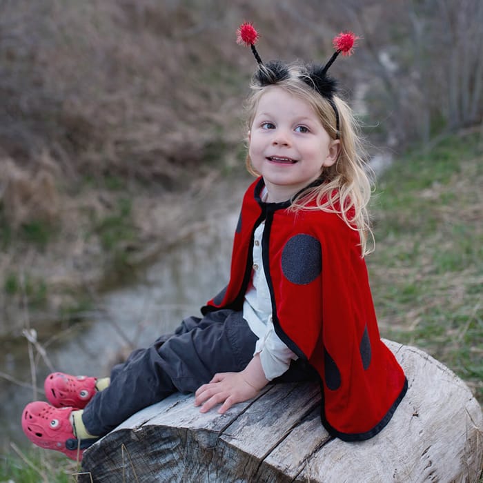 Ladybug Costume, 18-36 months