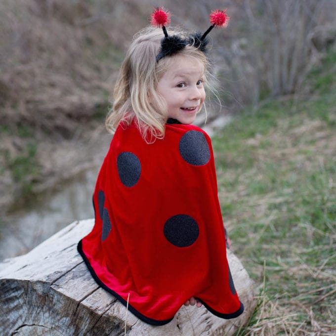 Ladybug Costume, 18-36 months