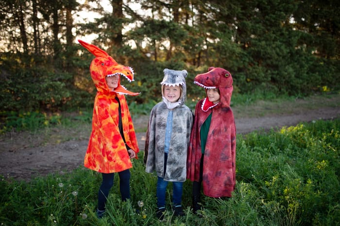 Spinosaurus Costume, 4-6 yrs