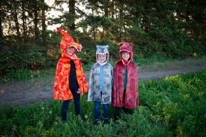 Spinosaurus Costume, 4-6 yrs