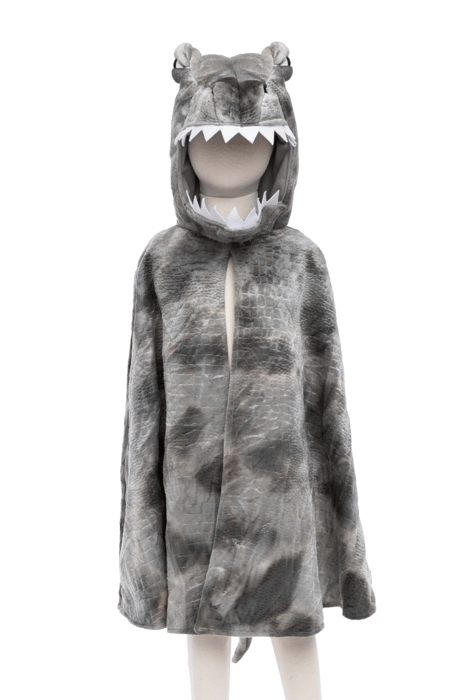 Spinosaurus Costume, 4-6 yrs