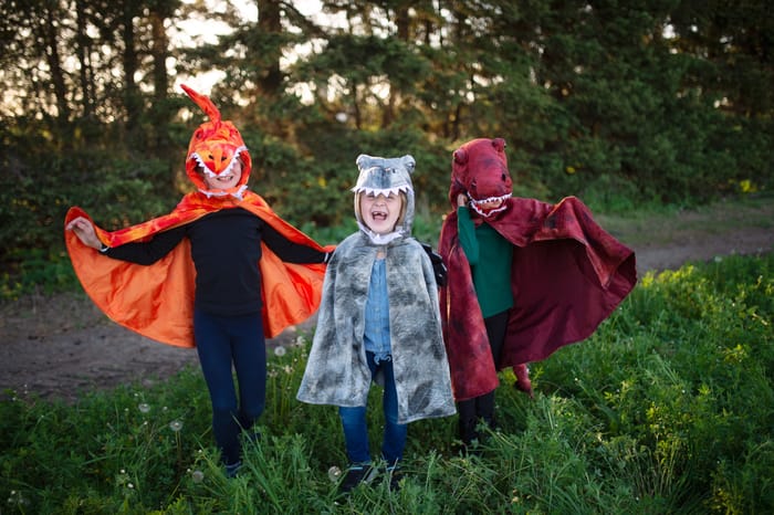 Spinosaurus Costume, 4-6 yrs