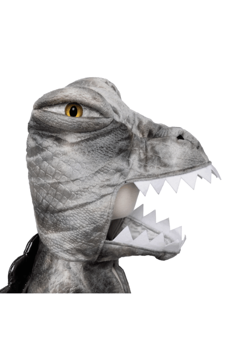 Spinosaurus Costume, 4-6 yrs
