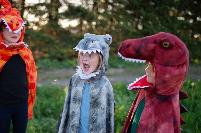 Spinosaurus Costume, 4-6 yrs