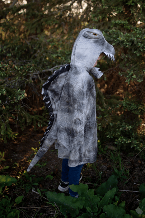 Spinosaurus Costume, 4-6 yrs
