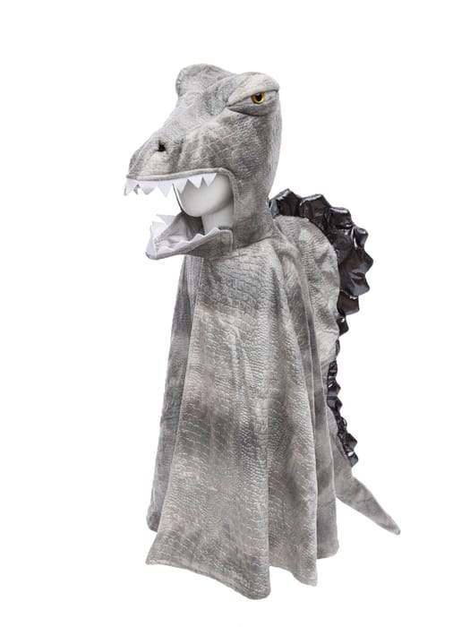 Spinosaurus Costume, 4-6 yrs