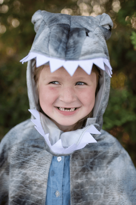 Spinosaurus Costume, 4-6 yrs