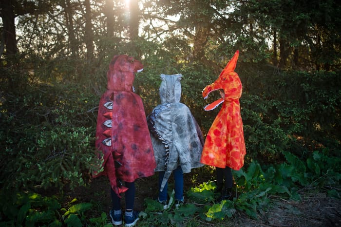 Spinosaurus Costume, 4-6 yrs