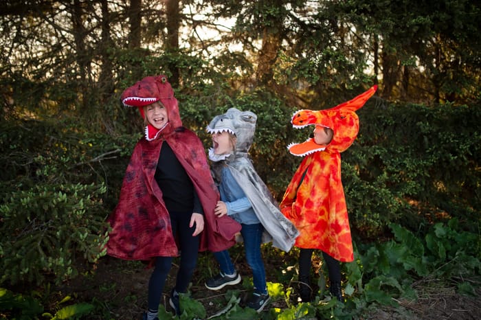 Spinosaurus Costume, 4-6 yrs