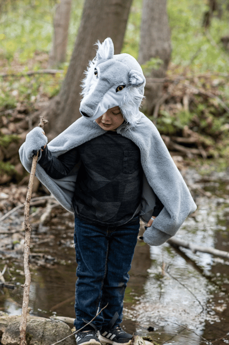 Wolf Costume with Paws, 18-36 months
