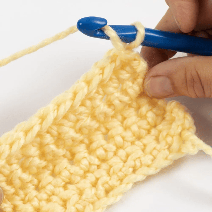 Learn to Crochet Starter Kit with Instructions