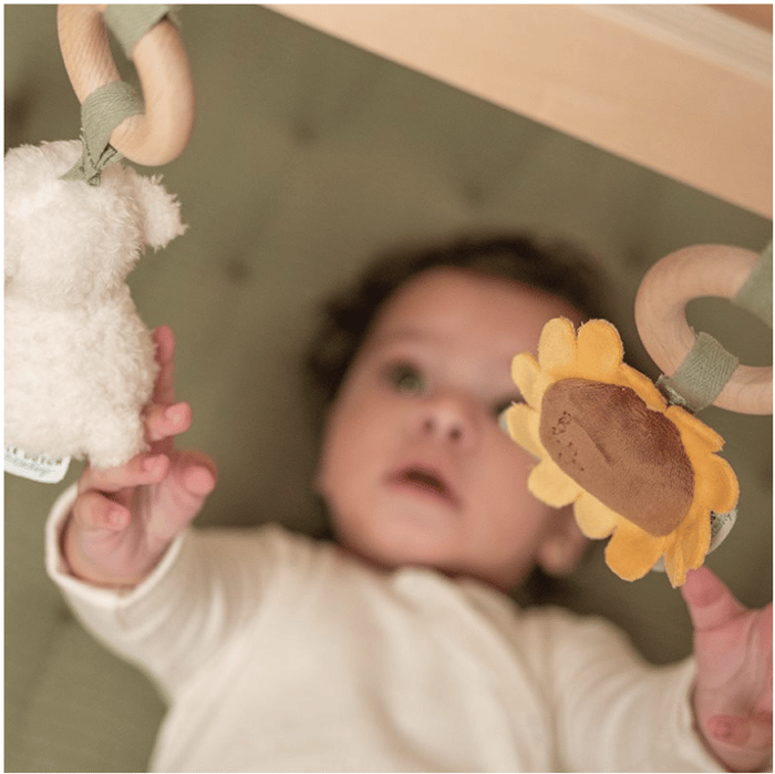 Little Farm Wooden Baby Gym