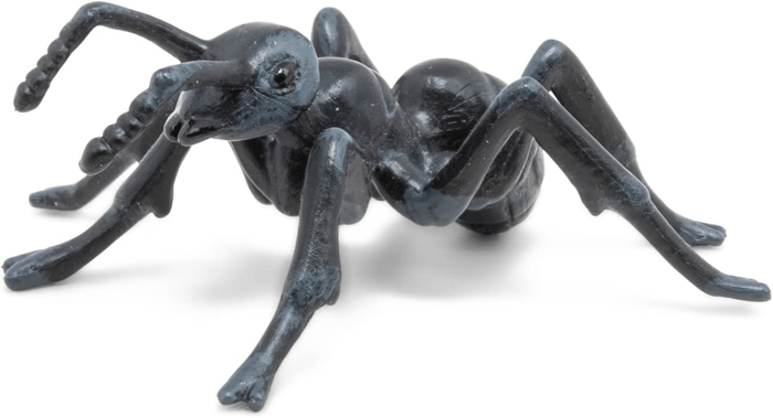 Ant, L: 5.1 cm