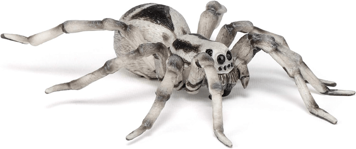 Tarantula, Ø11.5 cm