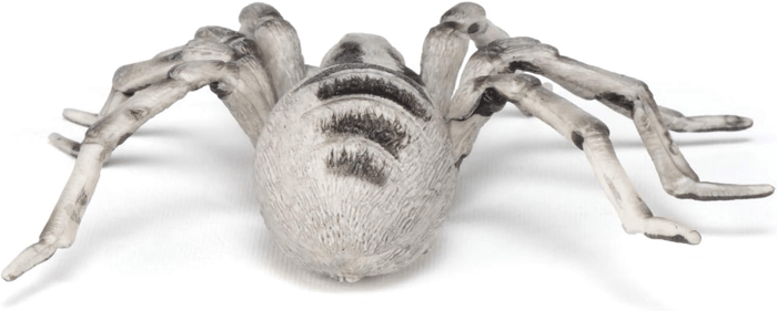 Tarantula, Ø11.5 cm