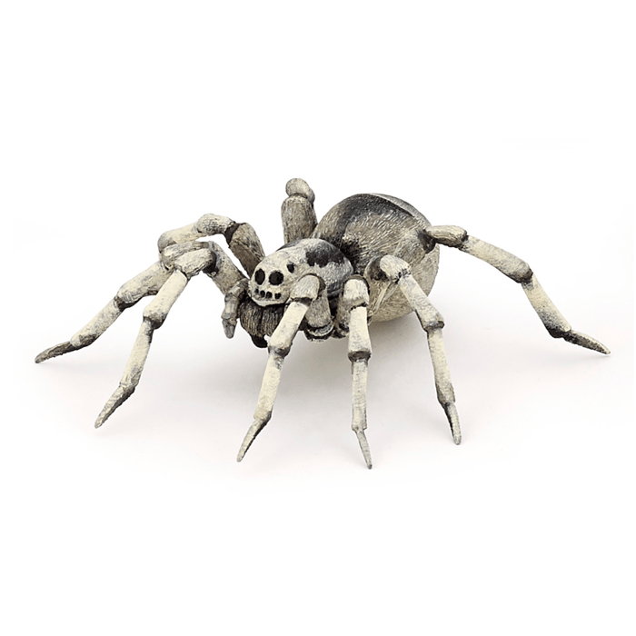 Tarantula, Ø11.5 cm